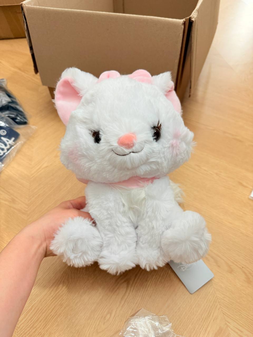 image_93B5AFF1-12D3-4EB5-9284-717B096808C5_1763790435