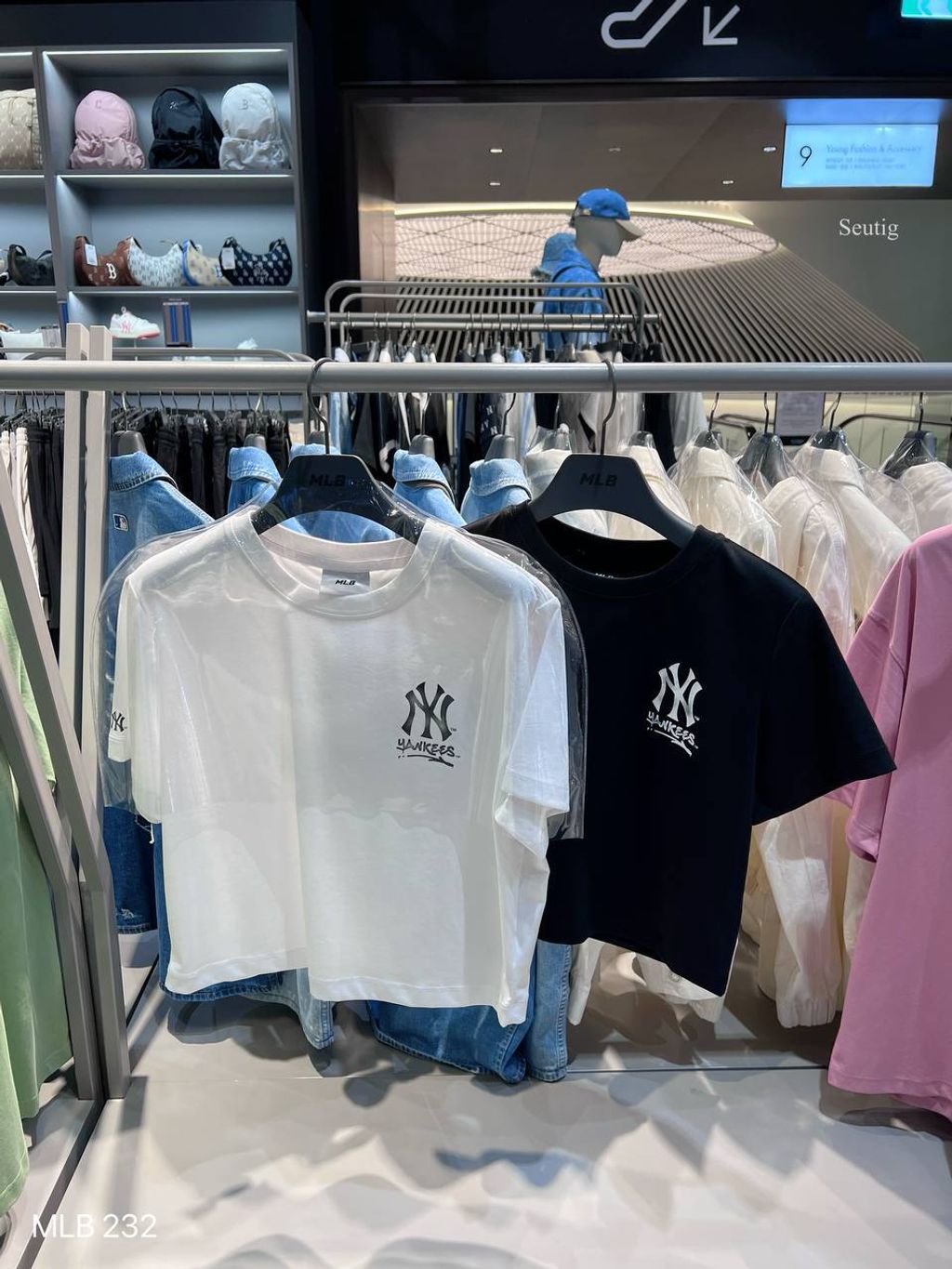 image_808BF279-5E58-489A-816B-EE4D5EA6F008_1763798639