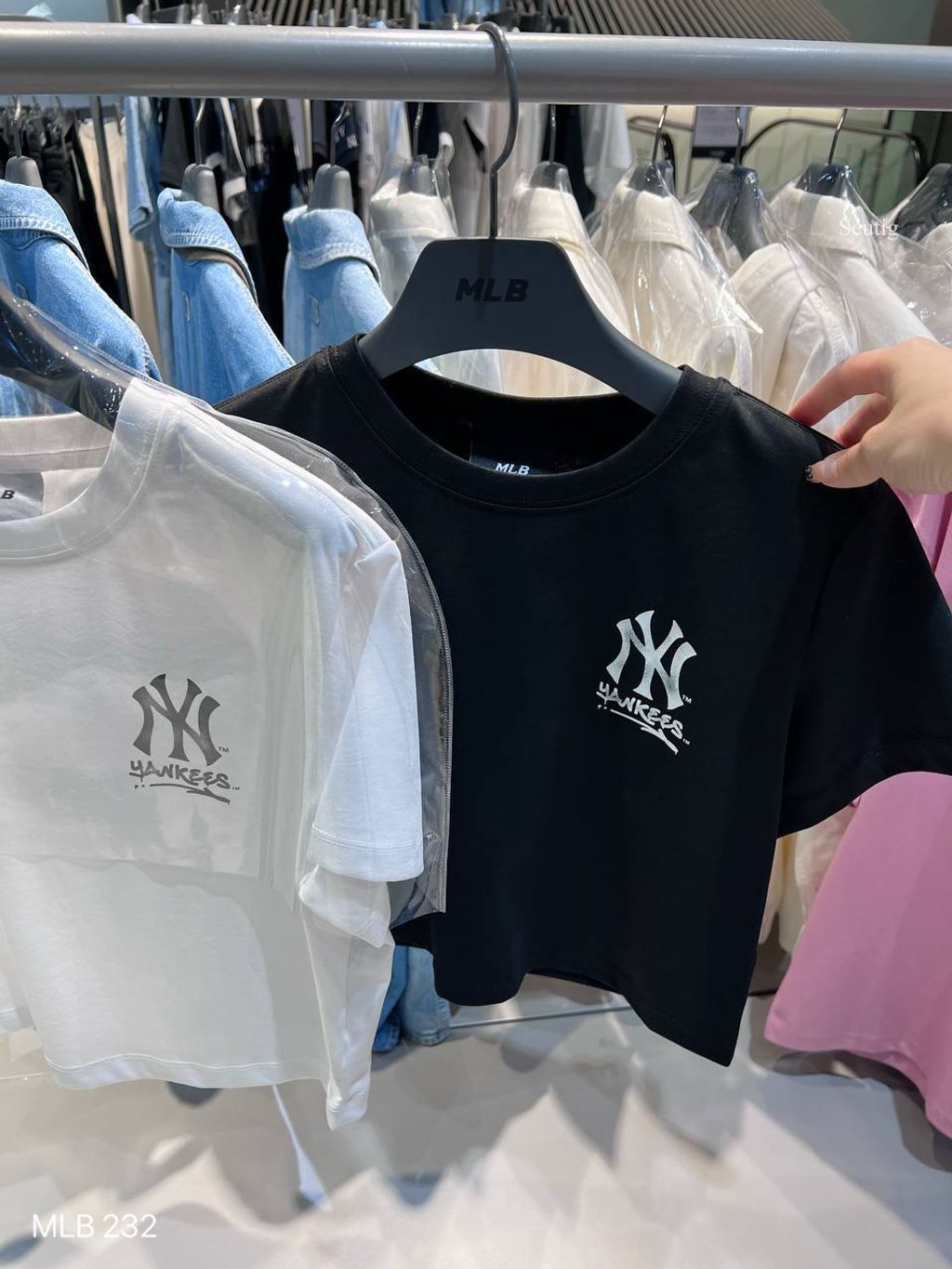 image_08C64737-EDBD-40C2-B7C3-B3351EBF72F5_1763798639