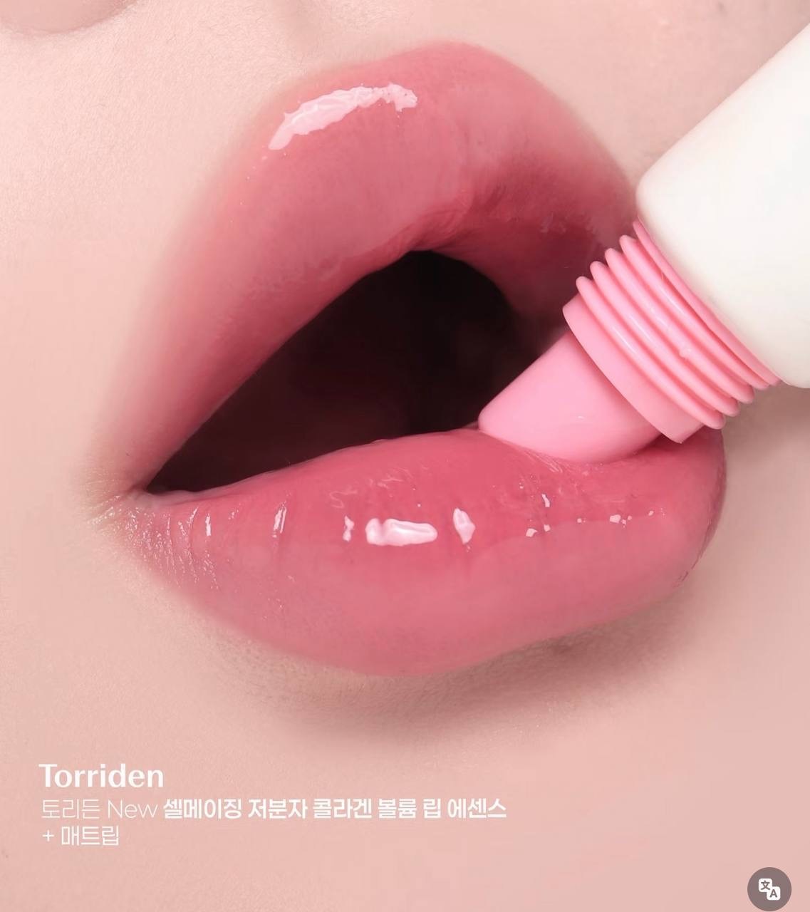 image_01EA9FEB-3ECE-4F4C-A9F2-E49F1F22409D_1764501213