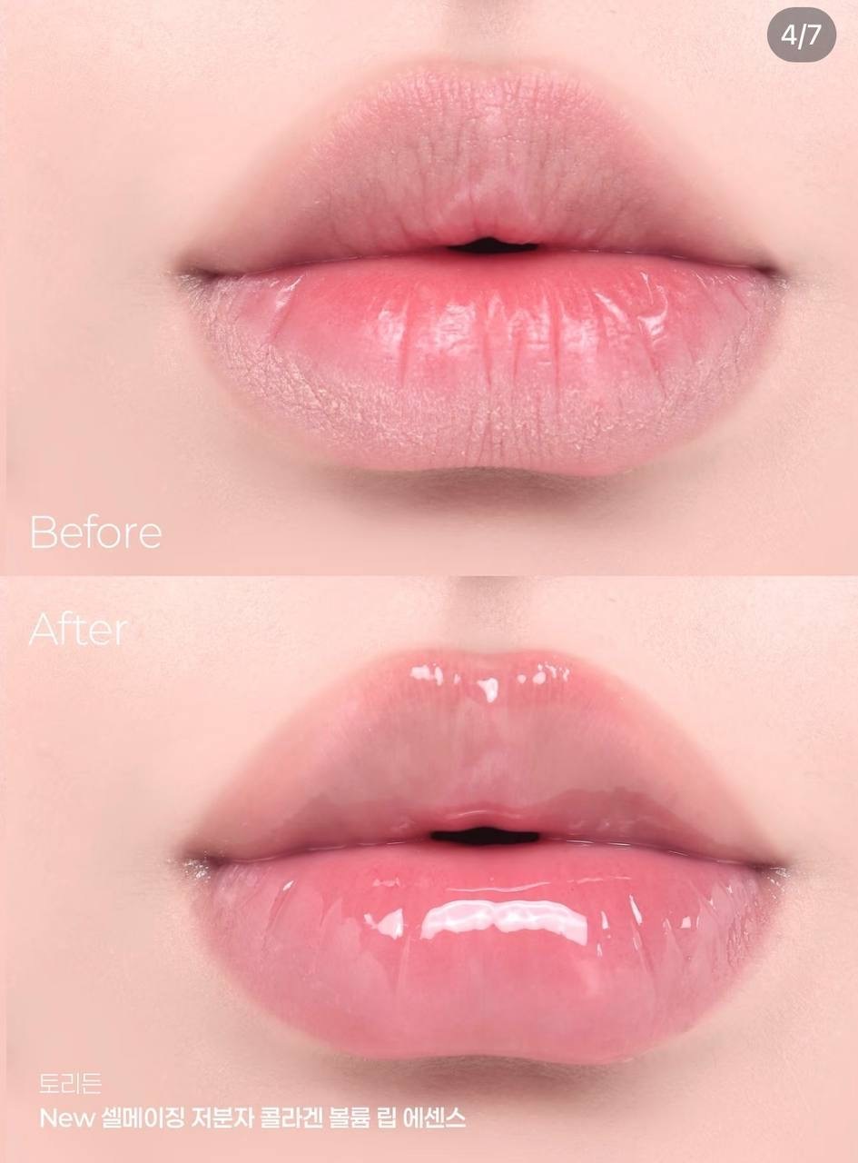 image_40B08155-3592-46D3-8F5E-C0AA7587D602_1764501213