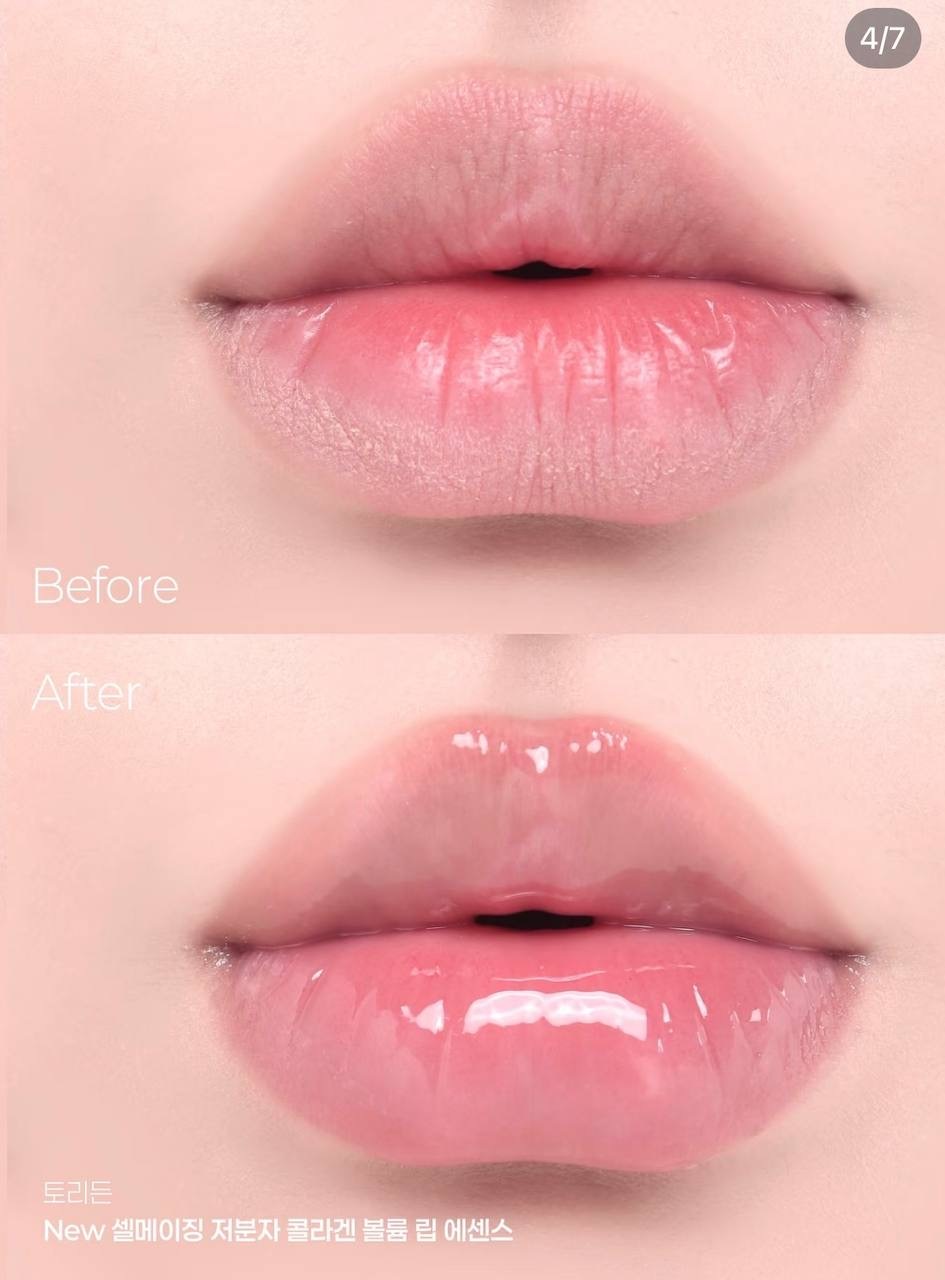 image_2D0E591A-9797-4316-9696-3AF63BE12A56_1764502124