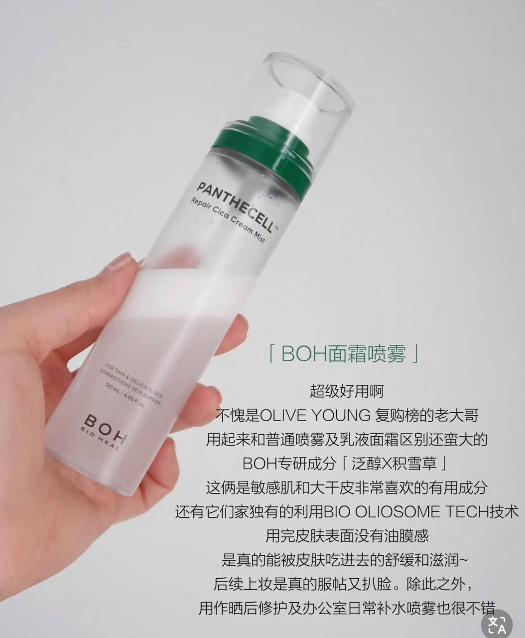 image_79D82C22-CFB1-4D68-9F98-37E743D43B81_1764673775