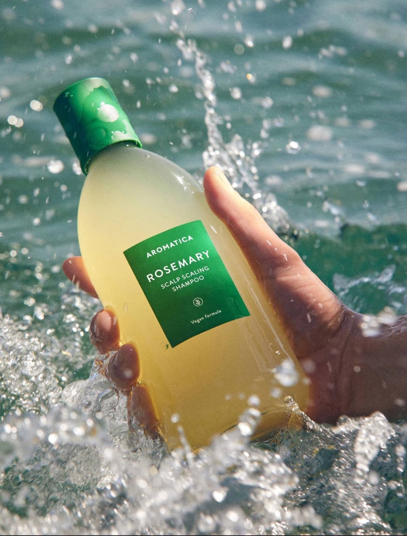 image_871D8E09-24EA-407E-8D93-DFBB25AE1239_1764676326