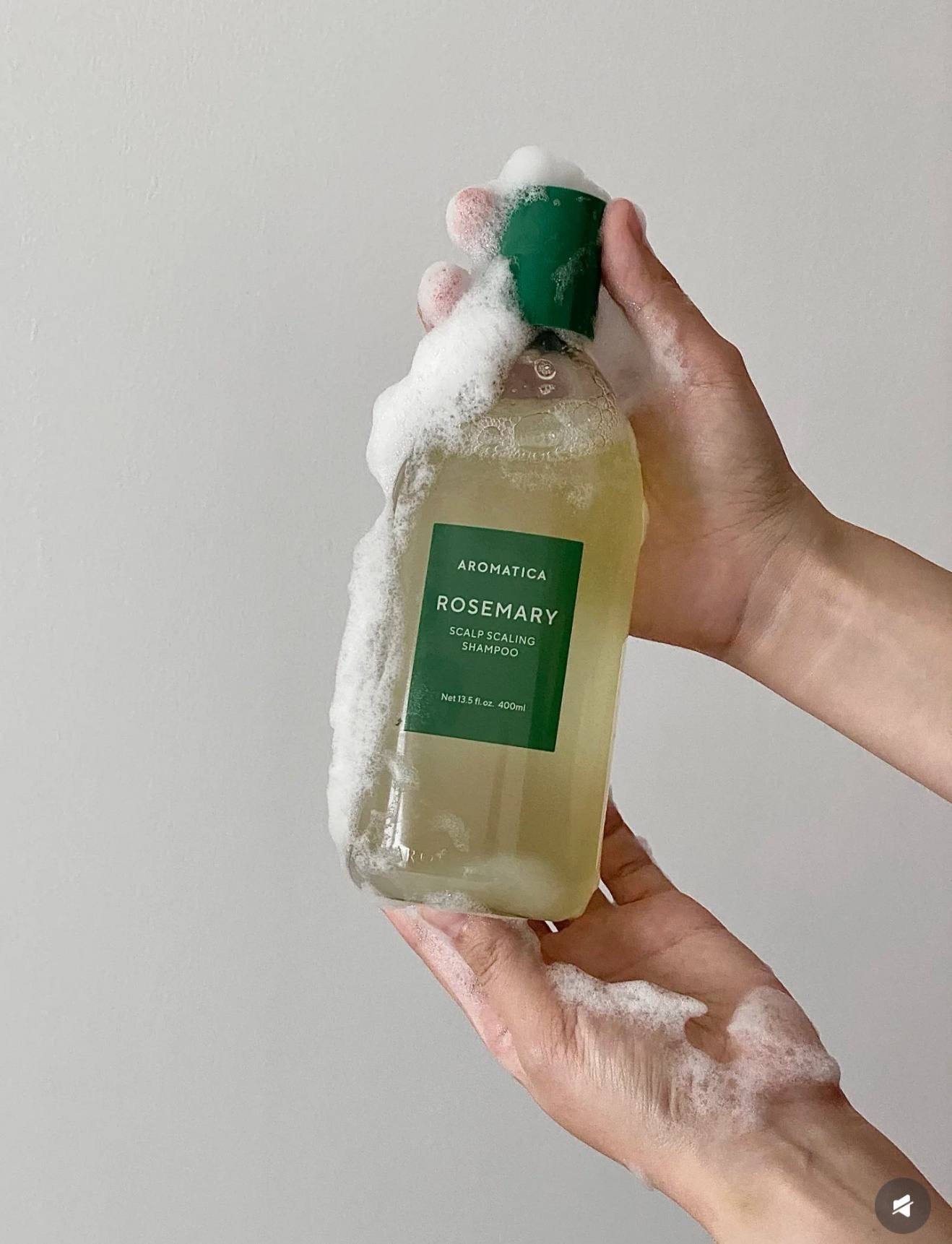 image_EBD9261C-0C4C-42FC-90EC-96C3FA20EFD0_1764676326