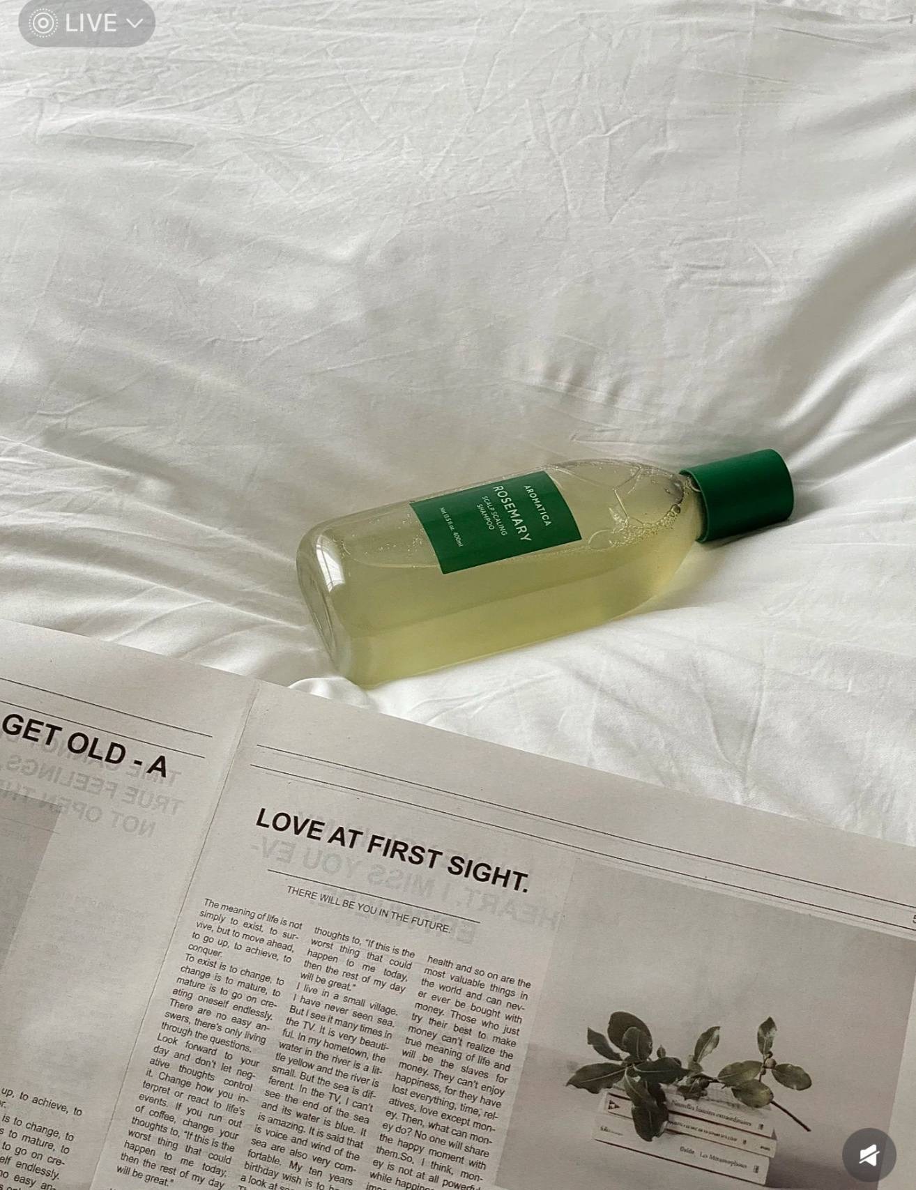 image_E15224BC-8B8D-42BC-B118-237D0A4FCDFC_1764676326