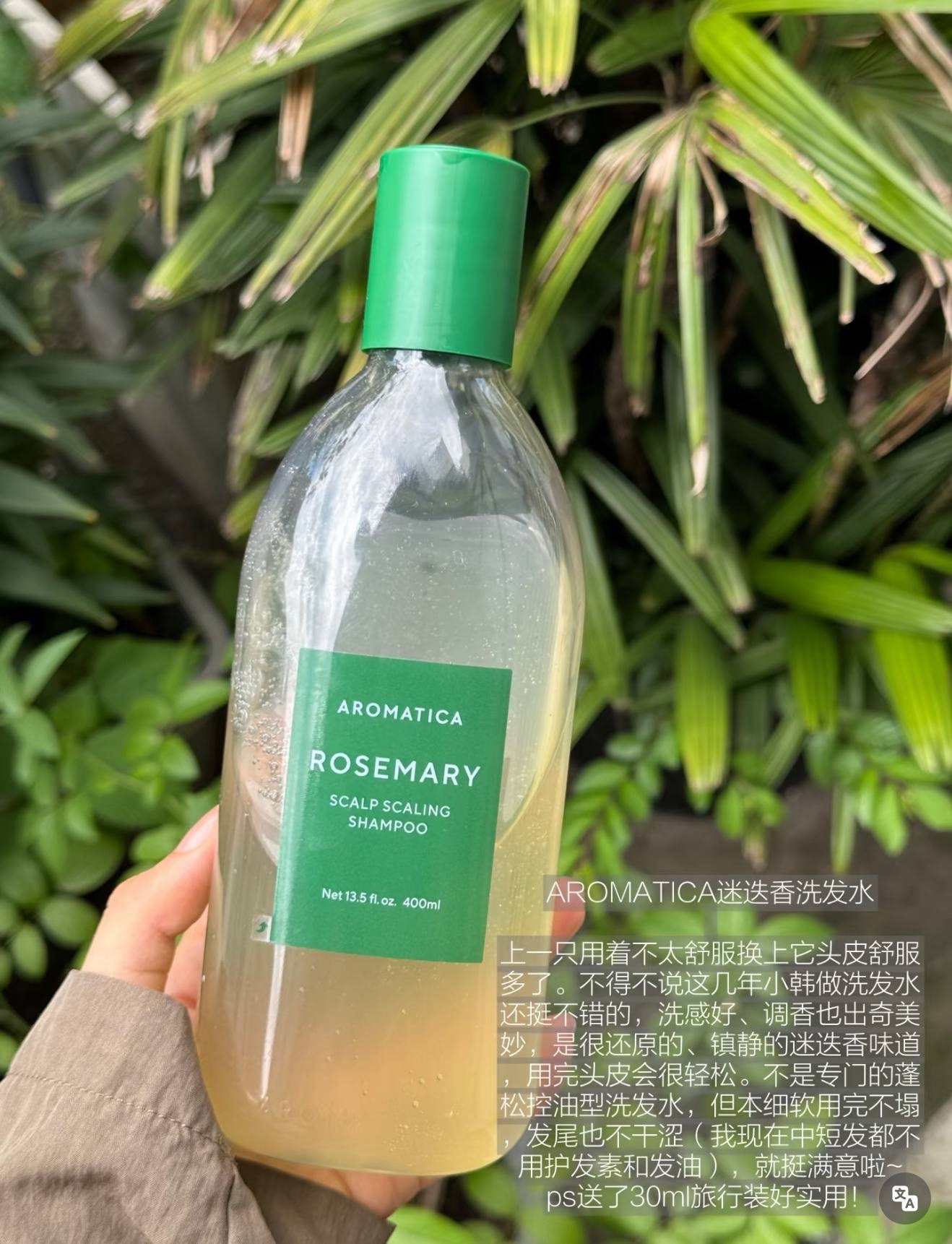 image_6C656E1B-1BCB-4582-9EB2-147F9115BBCA_1764676326