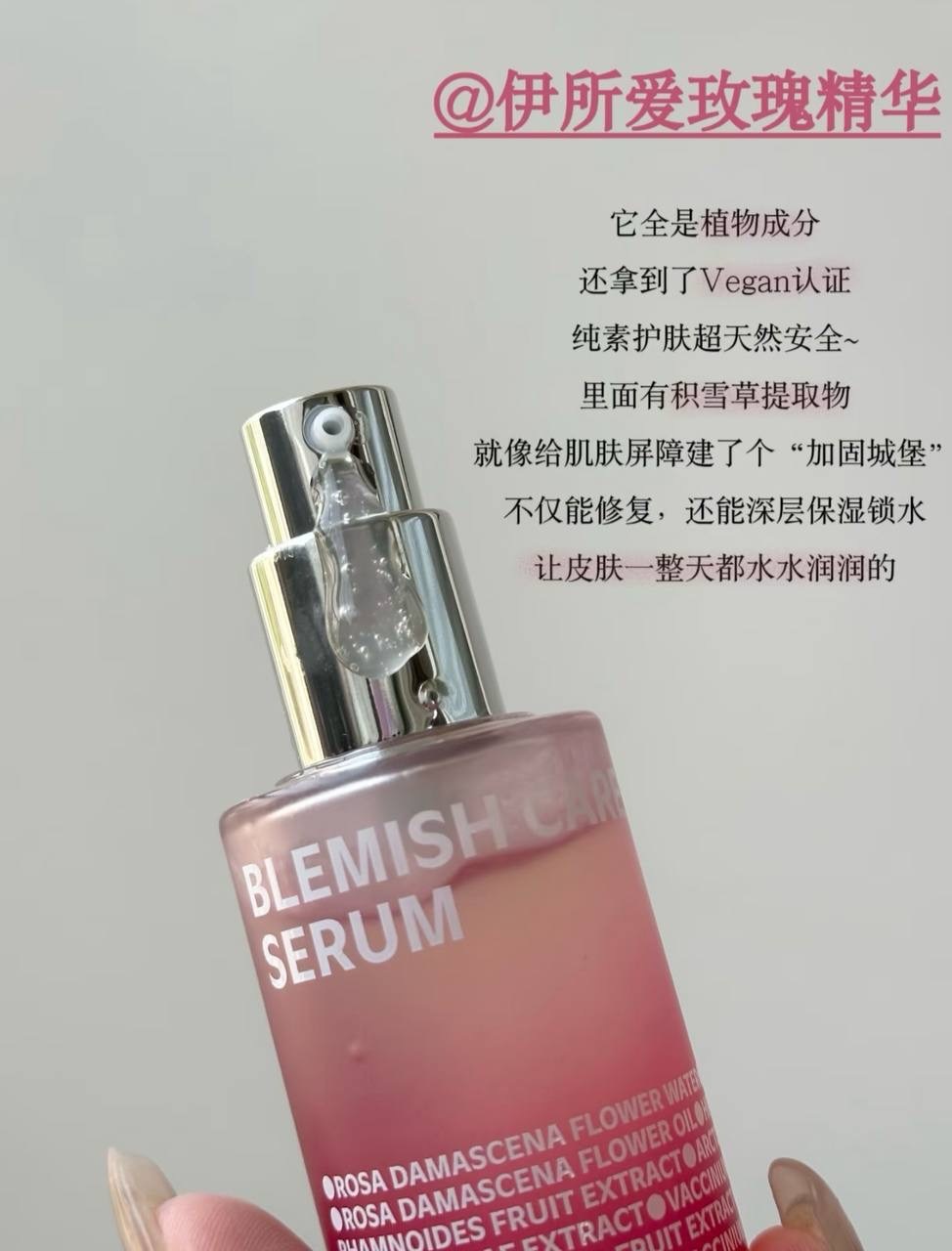 image_C49B88A1-4654-4FF0-880E-F871D0883561_1764779408