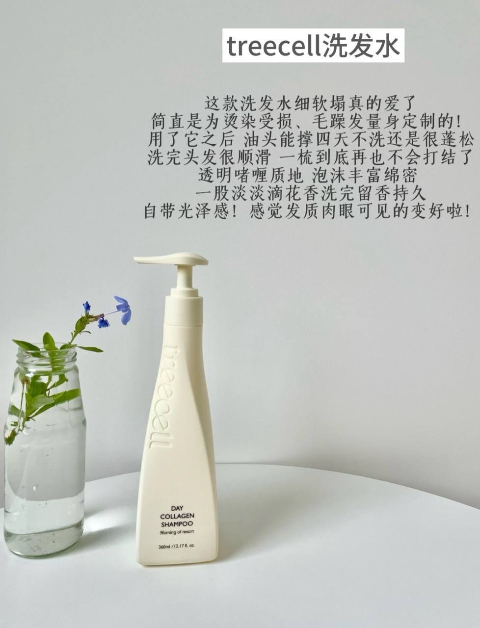 image_7D3C24D2-0804-46FD-B3BD-6B666DDD4092_1764822942