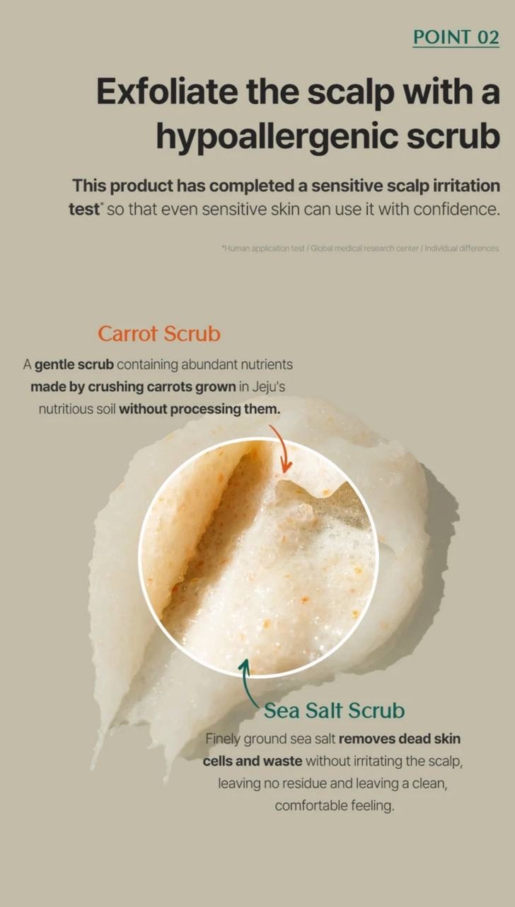 image_42043AEE-BC55-4BC0-9FAA-13FB737C35E9_1764823237