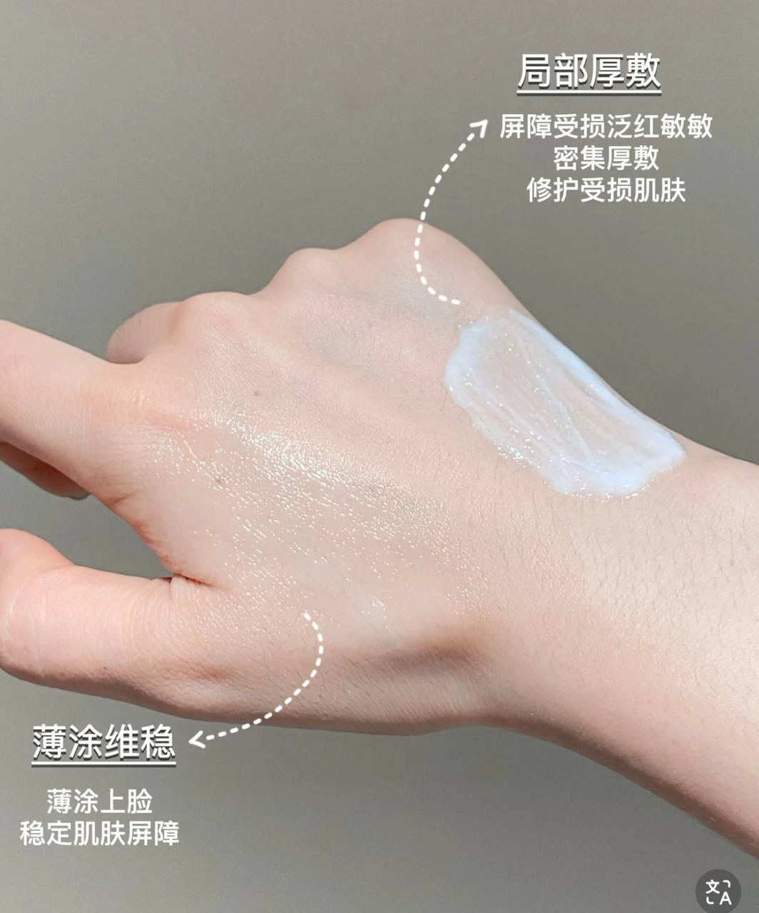 image_8E77D045-3A81-4441-9CEE-7C22818850E2_1764826704