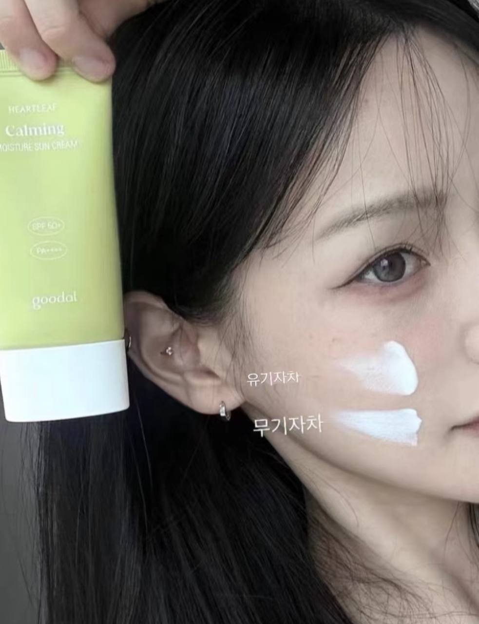 image_6BE16993-0648-4371-B06B-38578F6526B9_1764828013