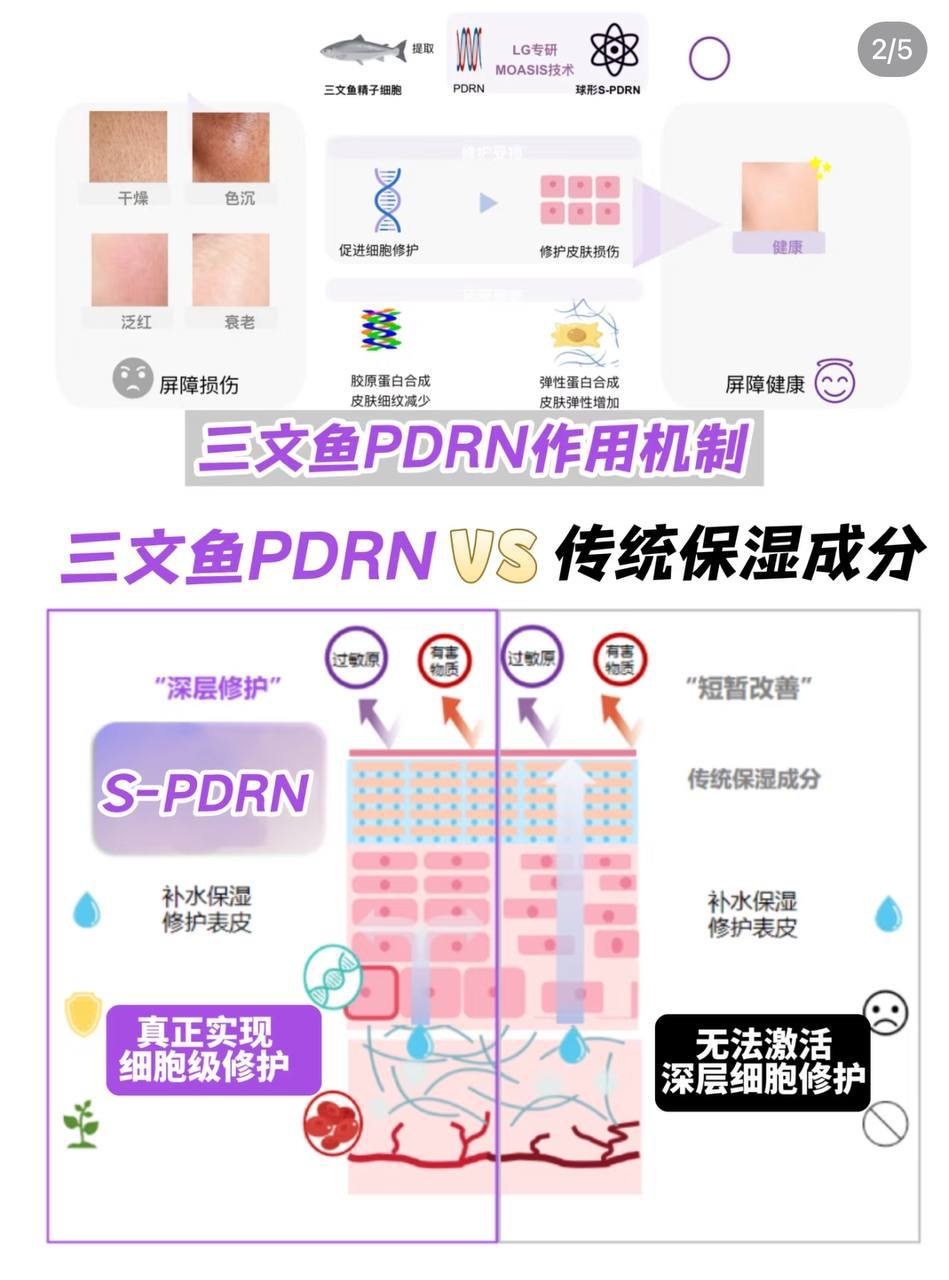 image_A270CC24-D116-4981-A3B3-7CD52F12707E_1764849880