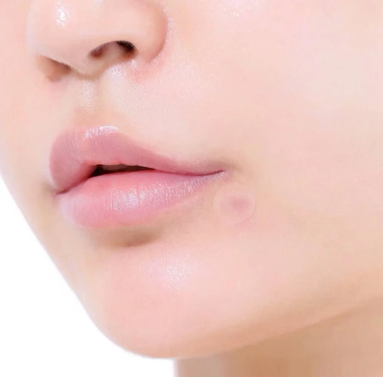 image_F54EA832-0A46-4B3A-9EE7-35AE2FE99C3C_1764861054