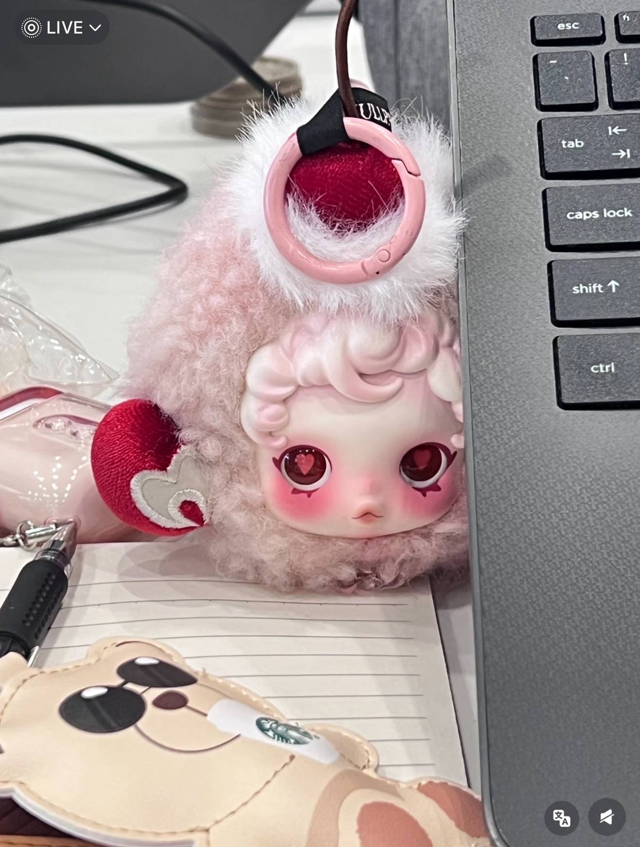 image_9A9A8792-6E2D-45D2-A20C-A251FA590D9F_1764947646