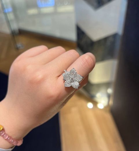 image_75AB1A02-F1C0-4549-915E-2148EFF14CDC_1764948542