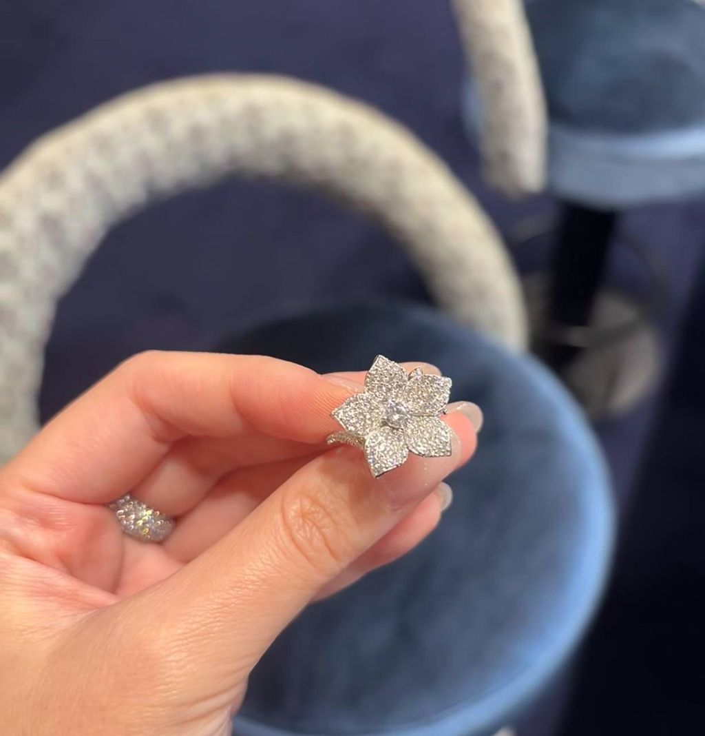 image_566B91AF-3DF3-462C-B69D-F52F125F88EF_1764948542