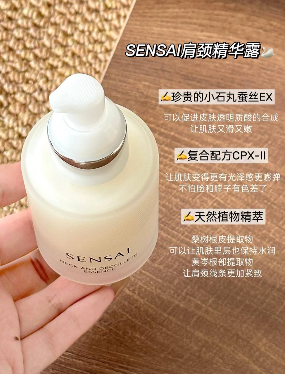 6093864531063934494 (1)