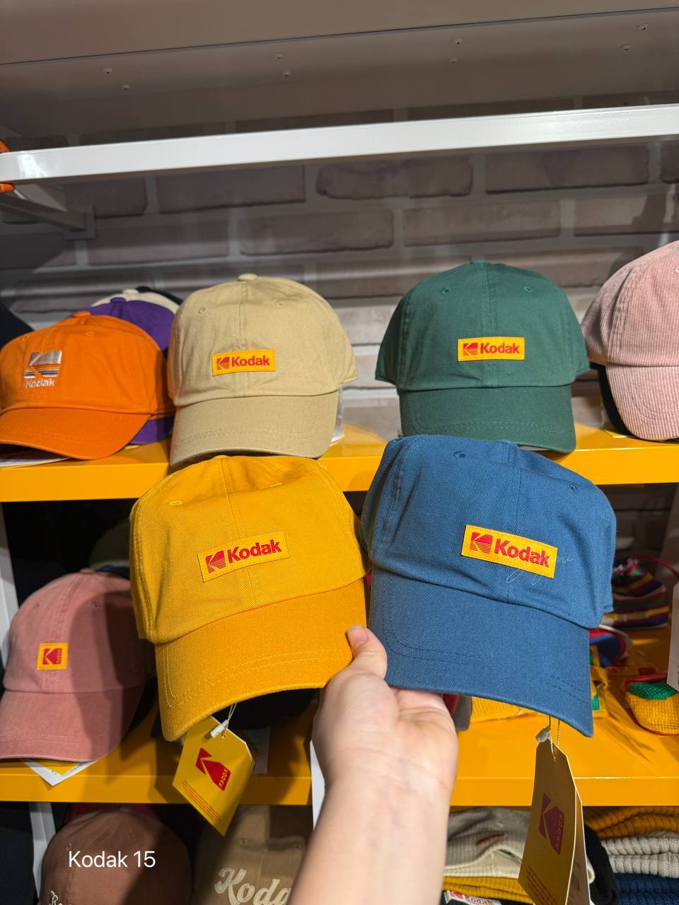 6172553387103161171 (1)