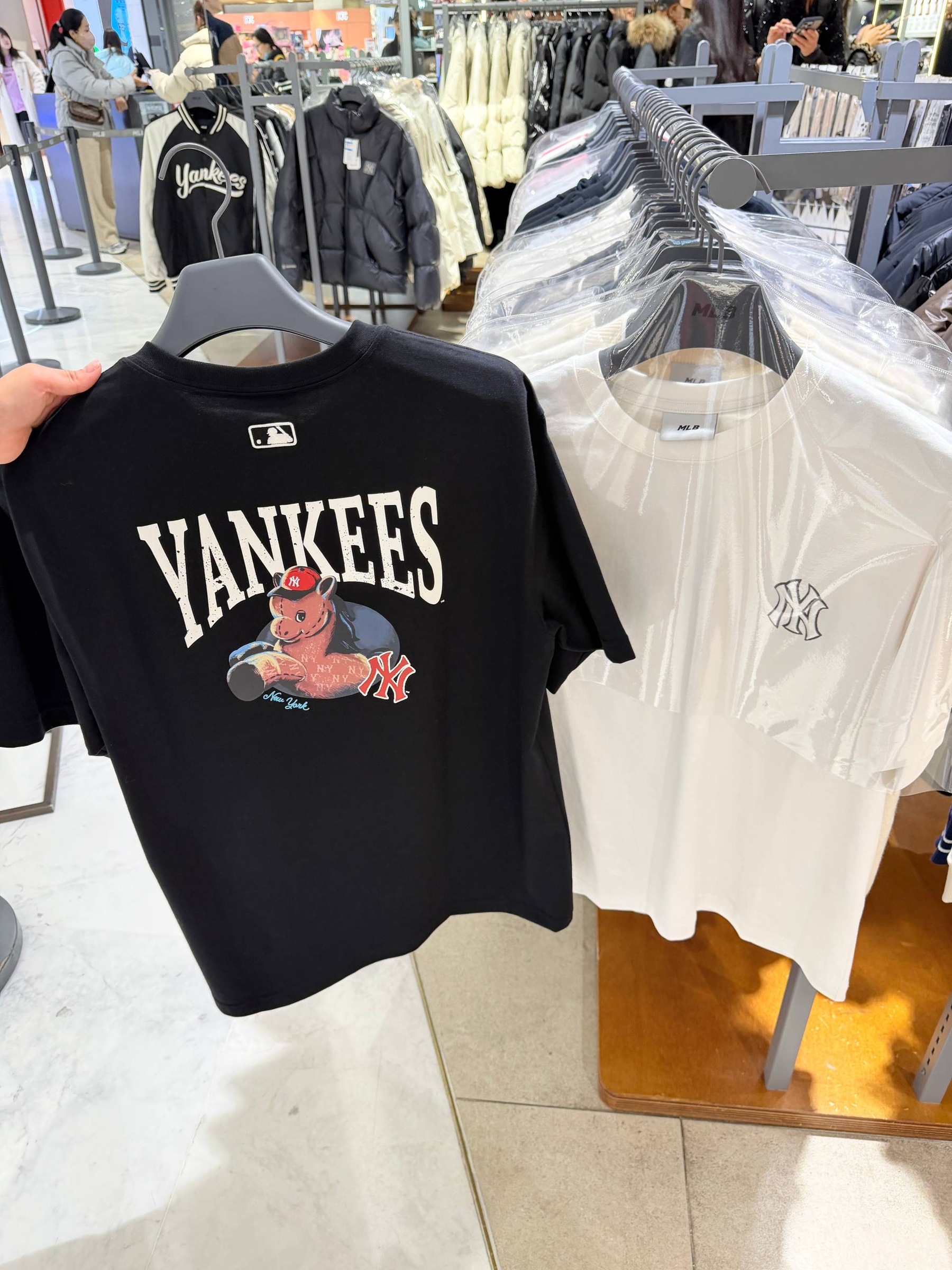 image_919AE891-5E6F-472D-AD06-320B27262F8C_1765294590