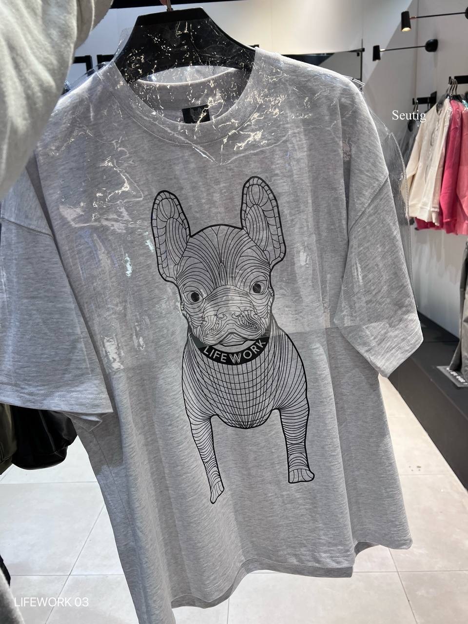 image_AD4FE4C8-6B3E-450C-9B5E-DF94F93ABFDB_1765376146