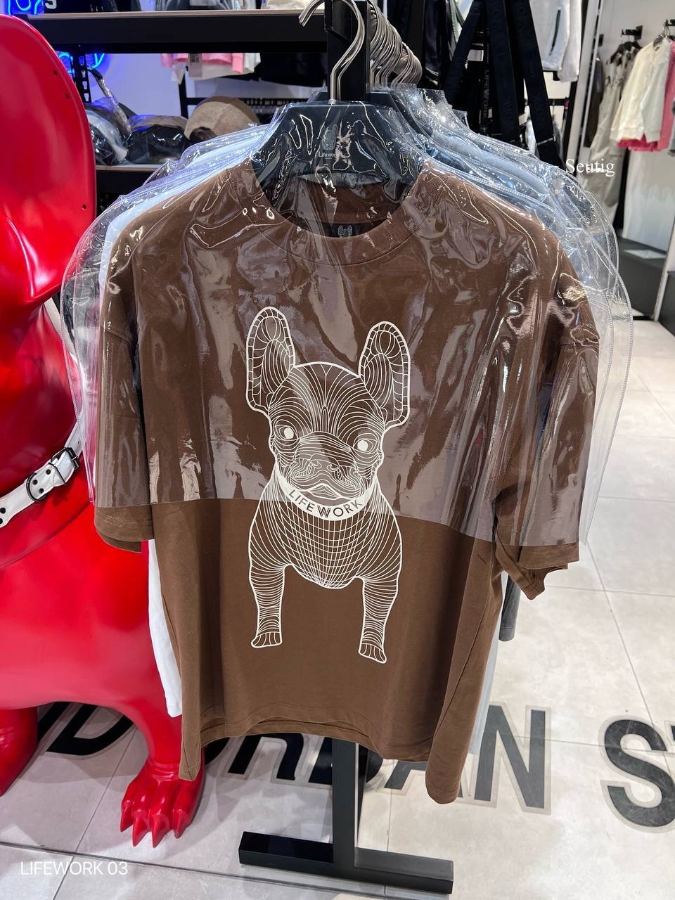 image_72905AB0-6793-48D2-B794-E9D3B6CA859C_1765376146