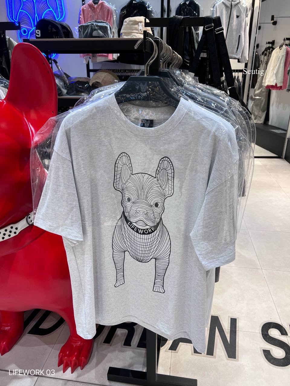 image_7E0A4EB1-43DC-4EED-9C6D-2DE0638E1768_1765376146