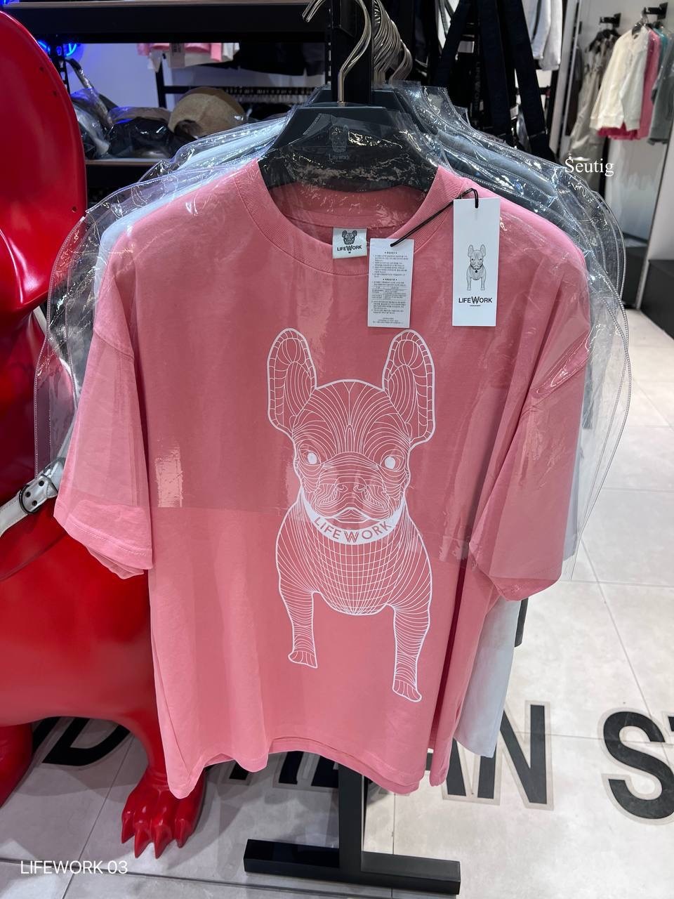 image_E6C82547-2869-4A9C-8767-9C823EF003F0_1765376146