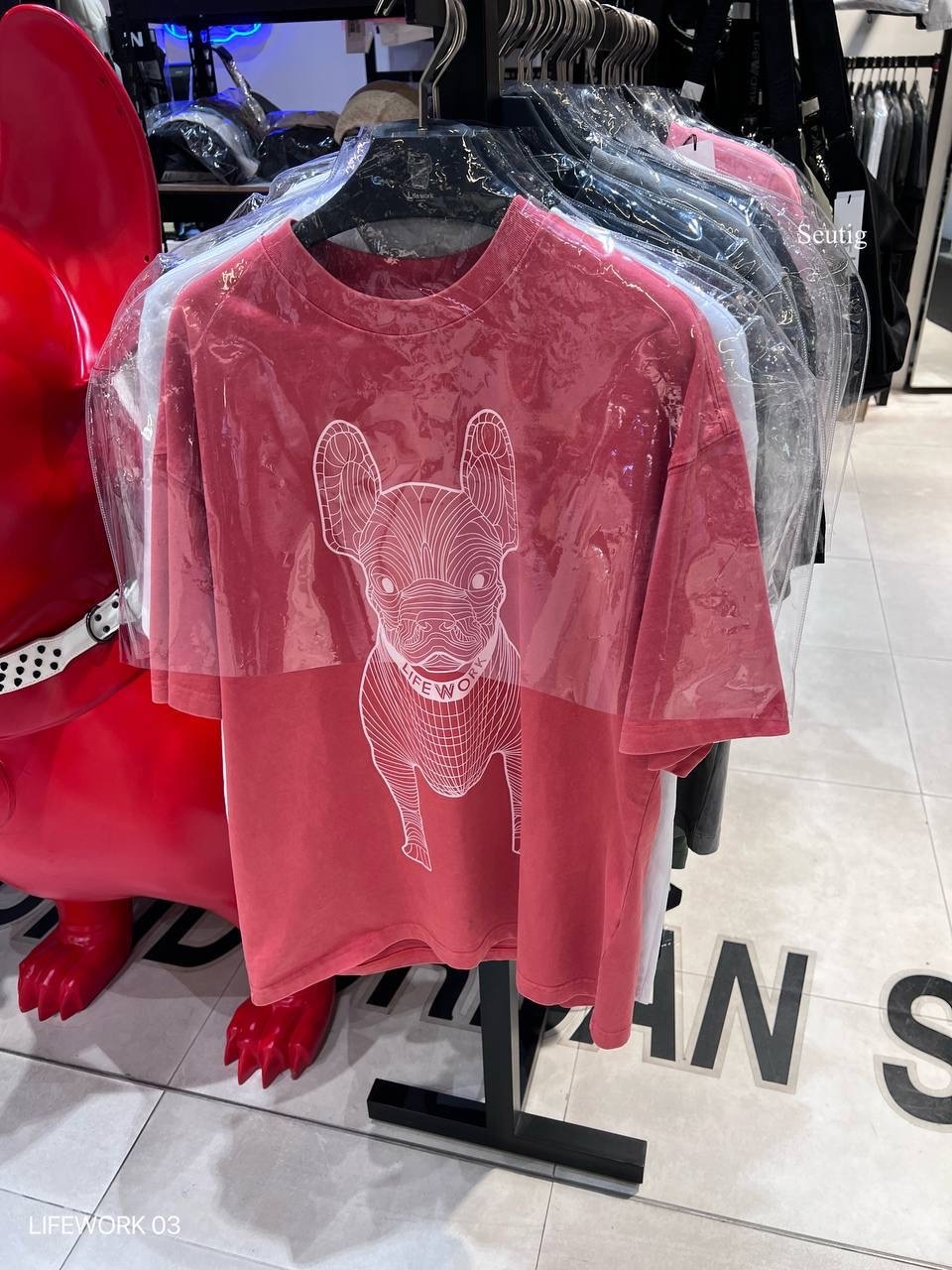 image_DD37BF48-9E17-4619-96DF-1D06194C3F85_1765376146