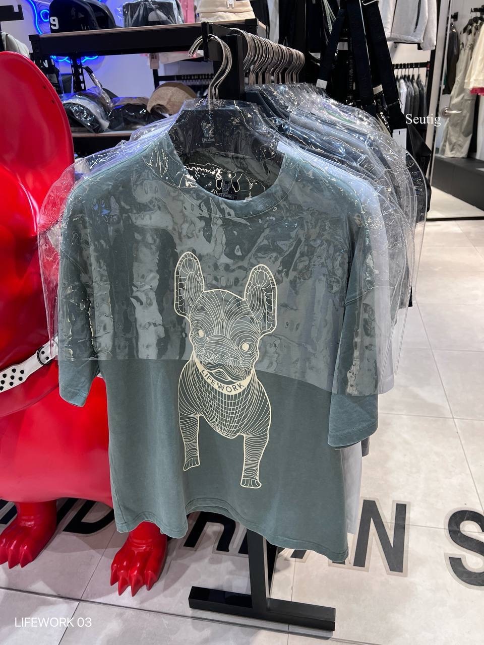 image_83AF955E-531F-43A1-9F15-FCBFE9D8B84A_1765376146