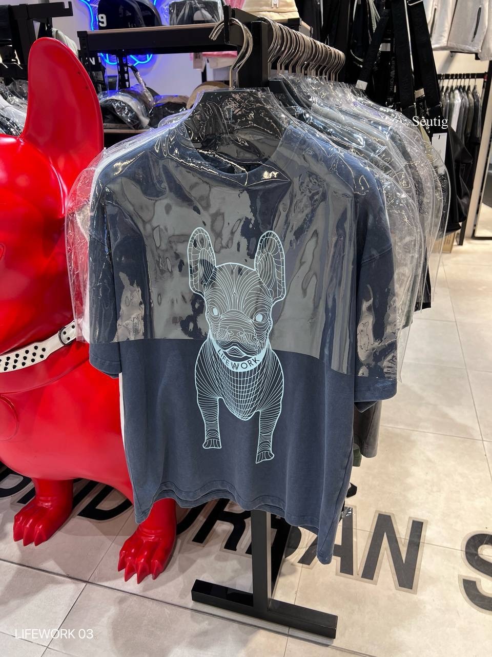 image_8161C05D-6817-4A34-896F-E55F3F77535B_1765376146