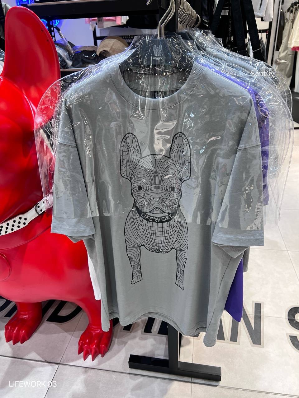 image_D0181112-8983-49B9-A4B2-EEC617597F78_1765376146