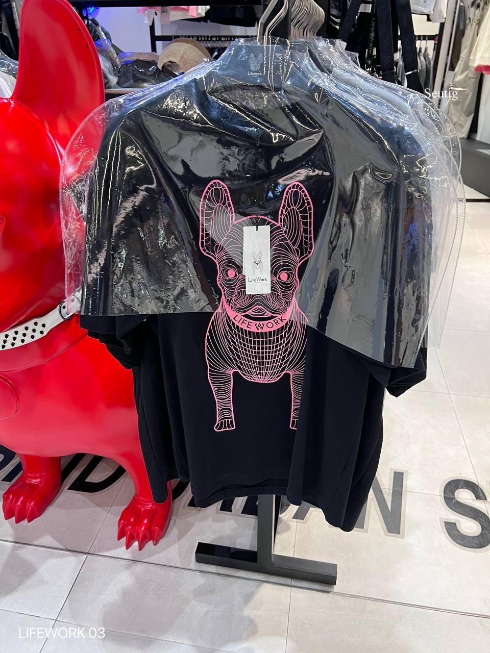 image_7897C884-F2C0-4823-B855-89247B1B00CA_1765376146