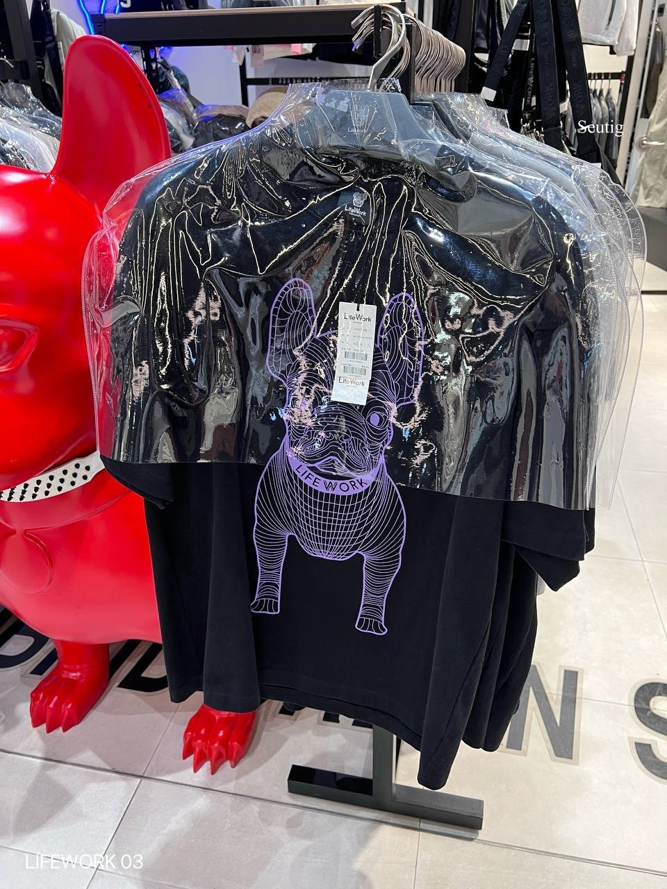 image_C7EB6A45-97A1-4609-AAE0-83C6F0D8EF4D_1765376146