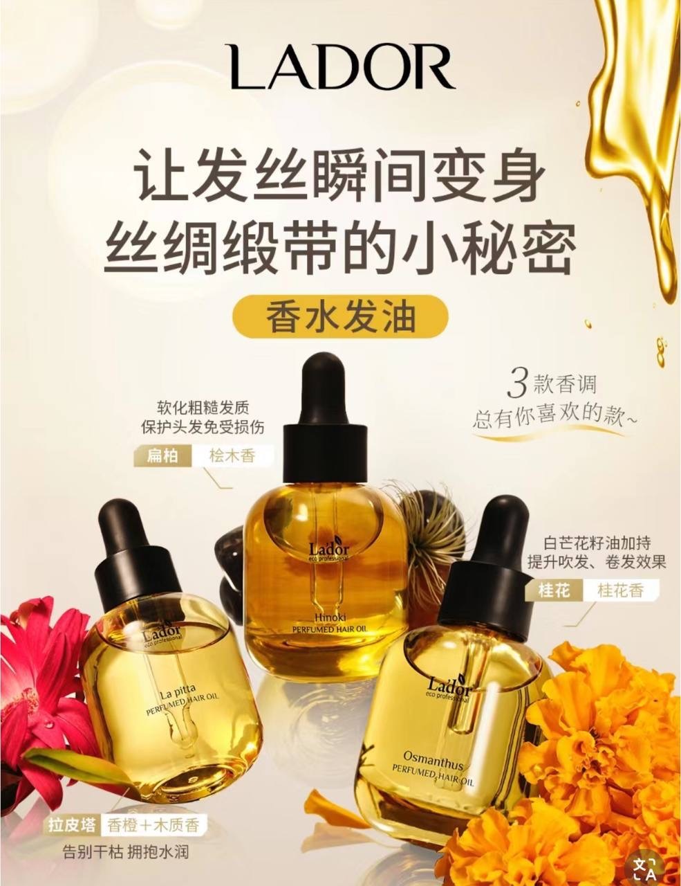 image_053C3C1E-67B9-403D-8D86-7718296D7DCB_1765378471