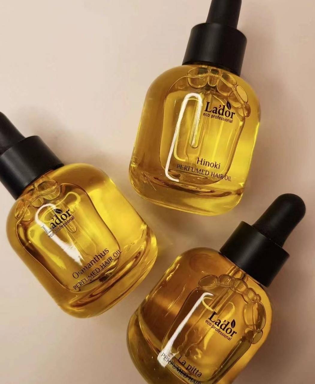 image_55522D3D-B386-43D9-A89F-3CCE53B004C4_1765378471