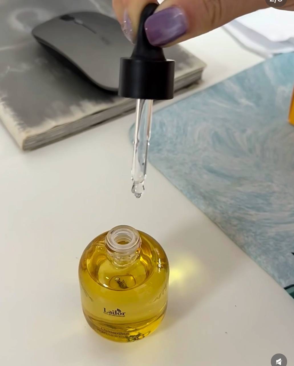 image_612B9E1B-154C-4FAC-81CE-E14451A72E36_1765378471