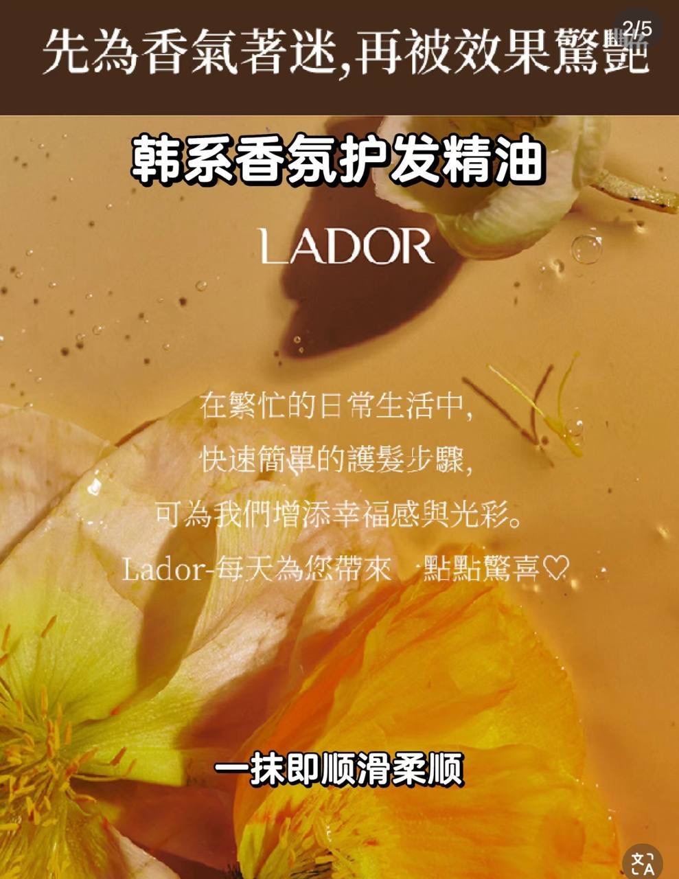 image_BC31564E-879D-48C0-82F8-098D2B771FEC_1765378471