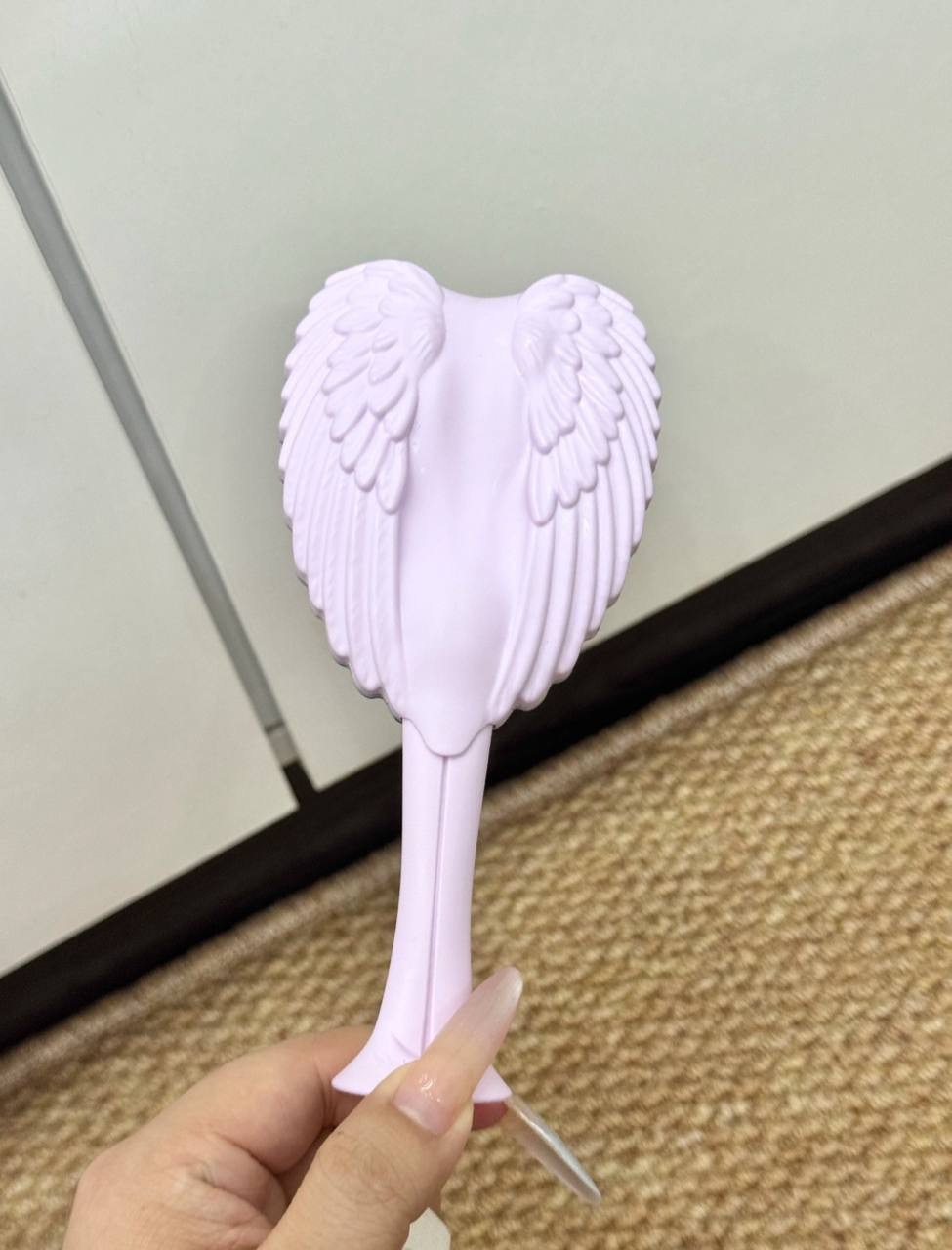 image_2F83F3A5-EE09-4536-8EDC-2445D2C564ED_1765378549