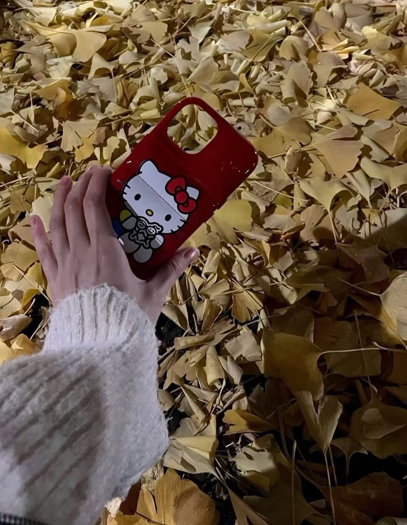 image_560E2EF5-1597-4E7C-A4C1-CED0817E907E_1765379702