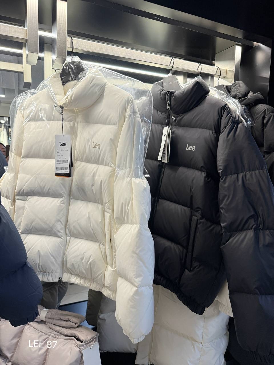 image_518B3563-9FDA-466F-BBFA-8F122C3C18D8_1765428183