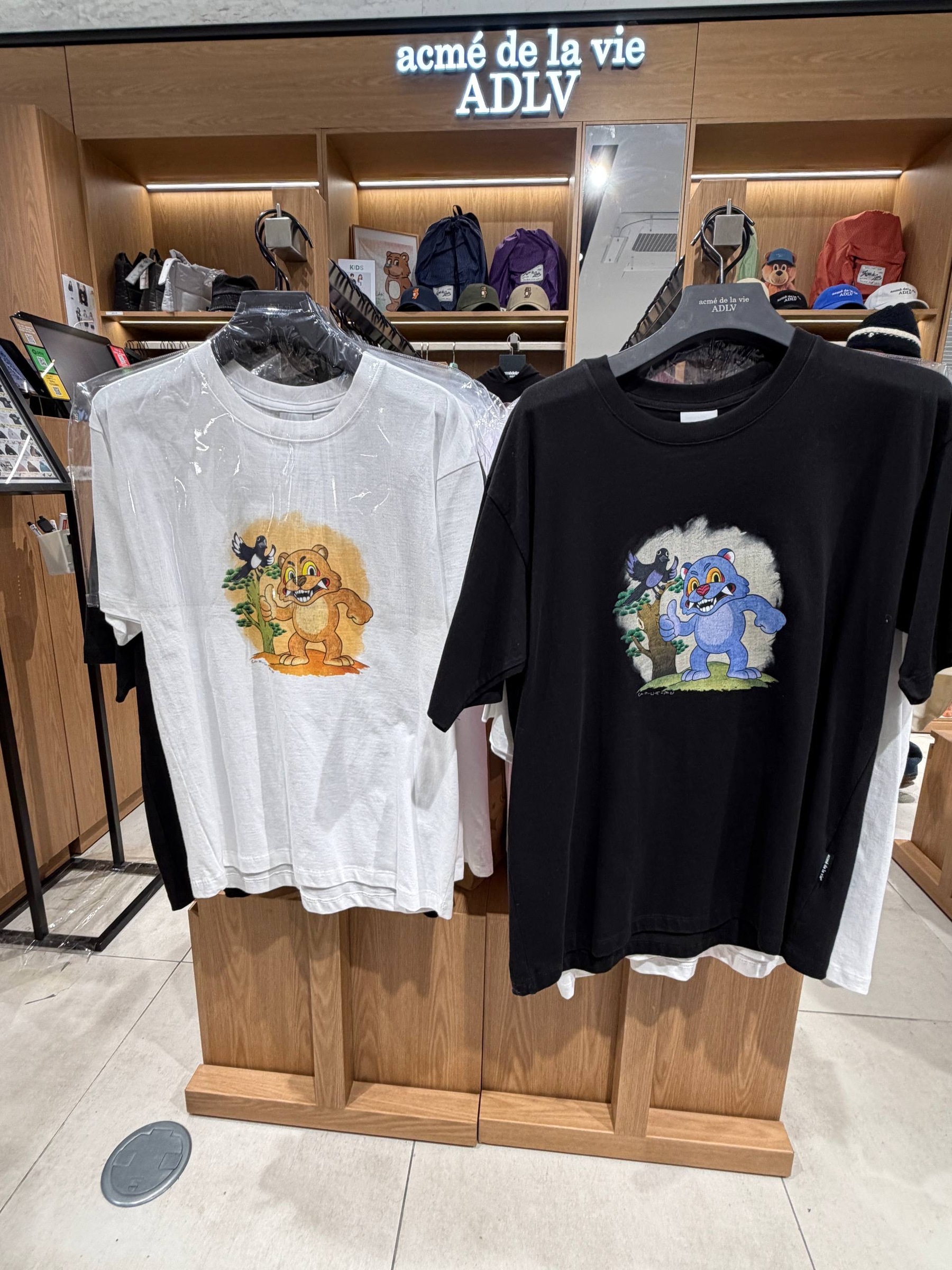 image_464B0DFA-B902-4239-8908-E6C1434404A0_1765451172