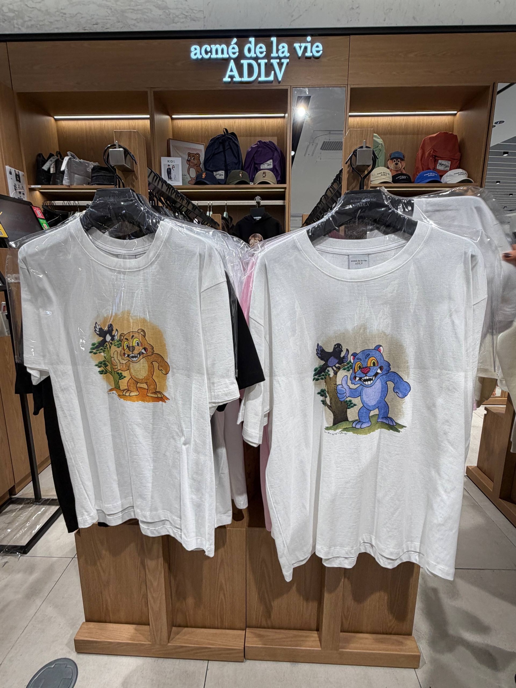 image_100DF769-C9A4-41DF-849C-3C0C72D223A5_1765451172