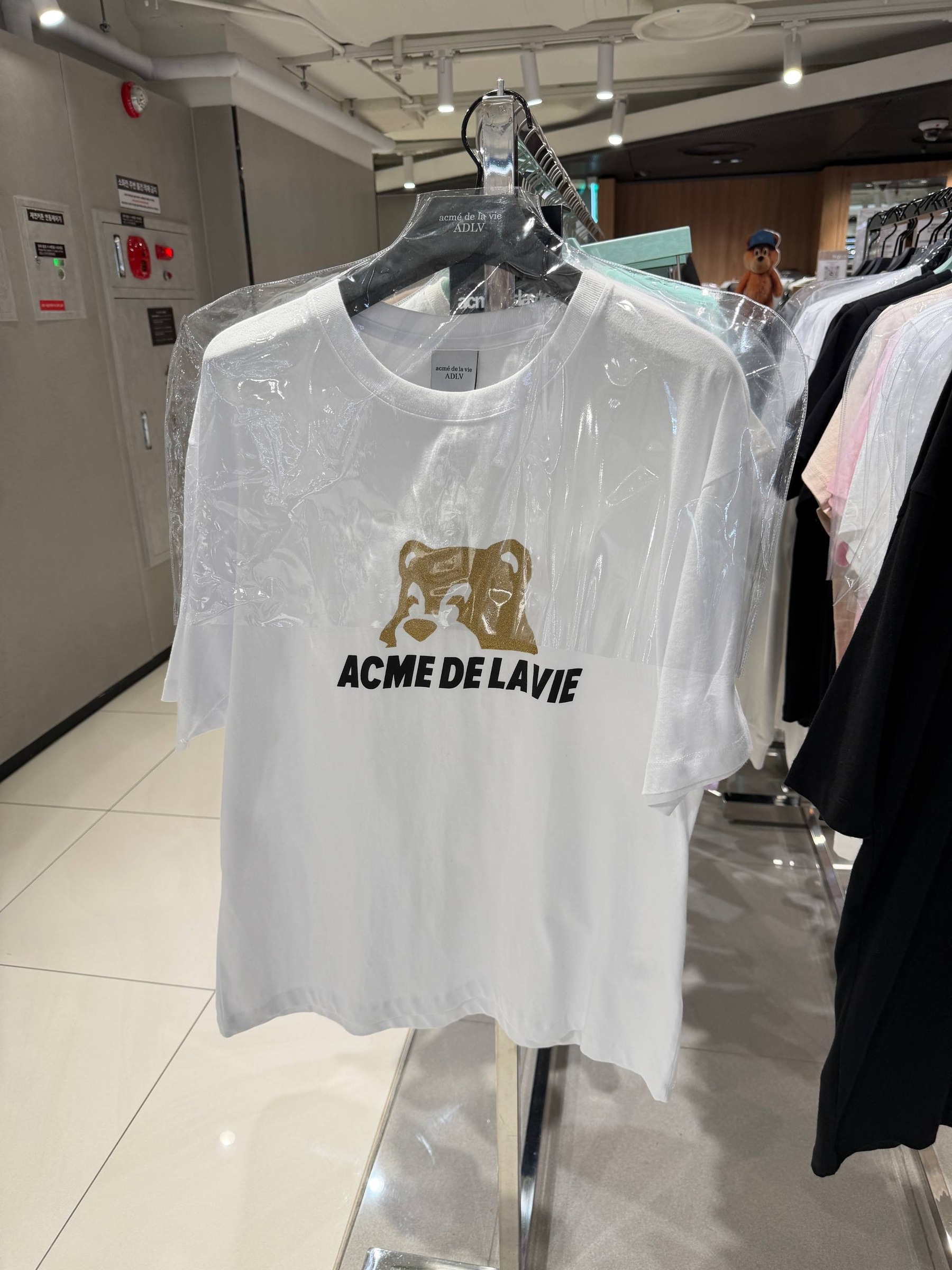 image_B77312E8-DFA1-4350-A47D-23D87202C724_1765451888