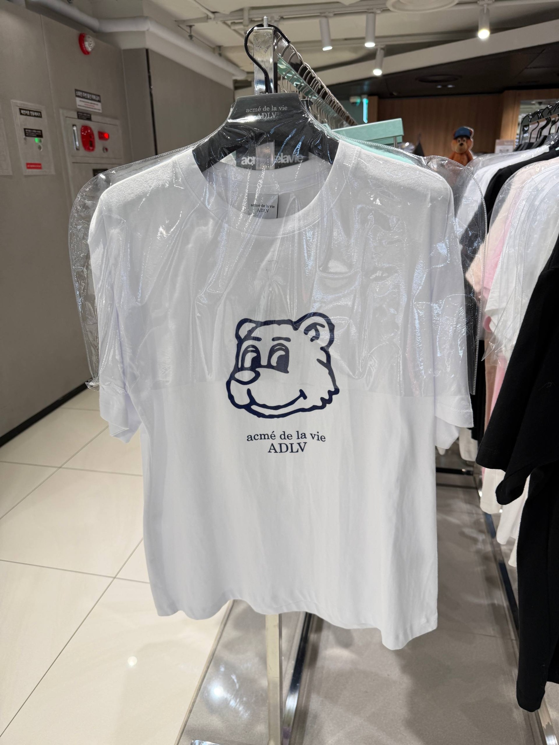 image_775941EF-D16F-49BF-9102-F6572410D212_1765452062