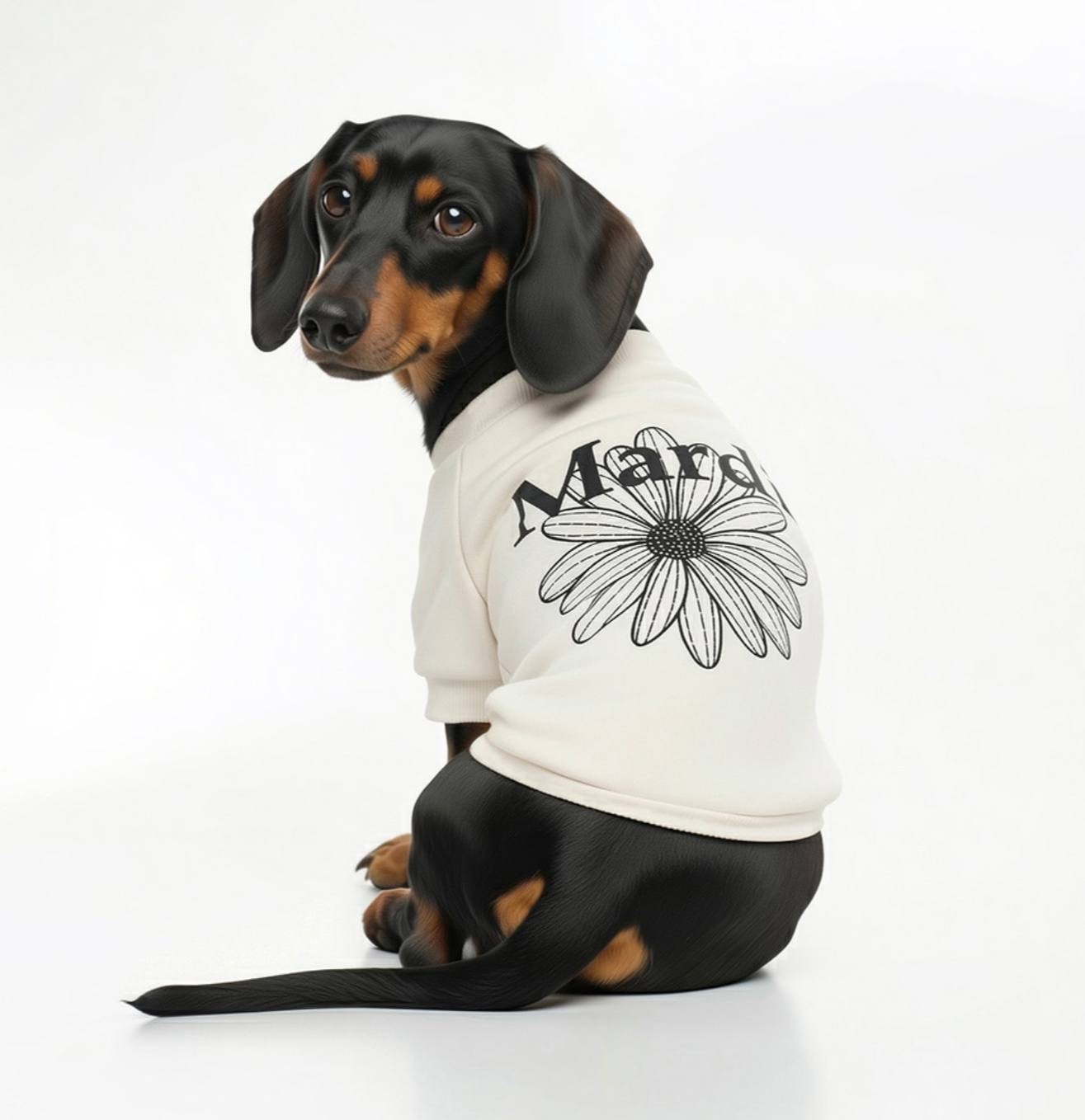 image_48D3D659-5C93-4FB9-B3A8-0CF91A88535D_1765462870