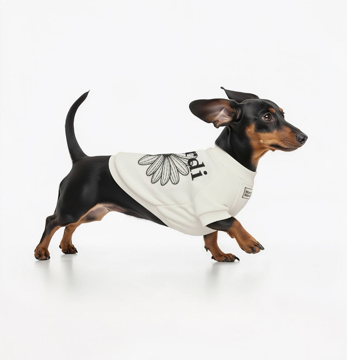 image_60B30DA7-809D-422E-99AF-105068F2E7BD_1765462870