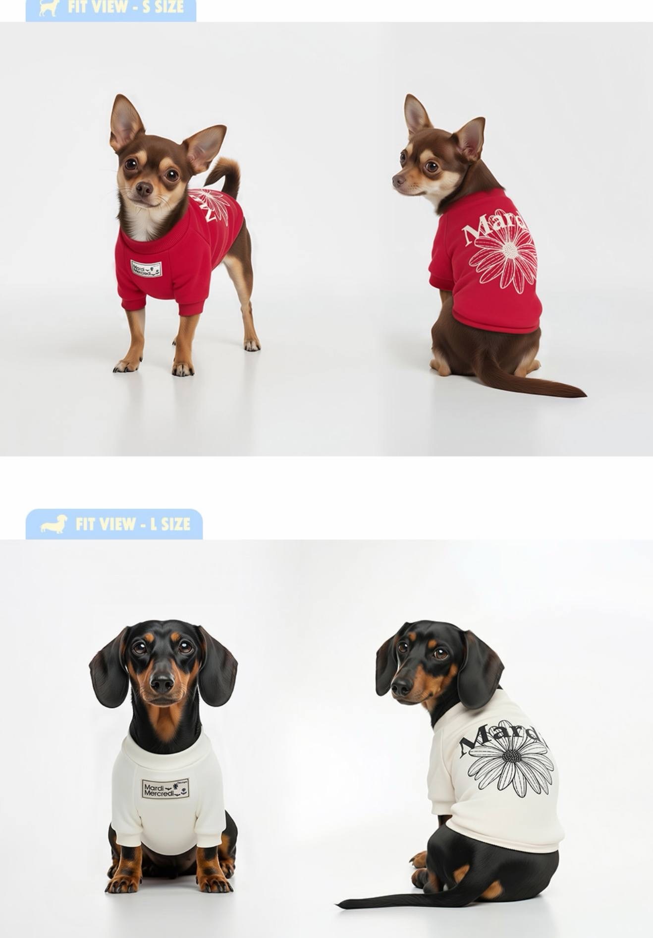 image_73081067-DFB5-4F2E-896C-F5AC3A4EFDBC_1765462870