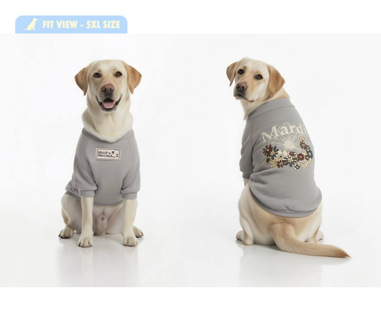 image_44C4D836-FDD4-4D11-BC2D-6F584F9BD08B_1765462870