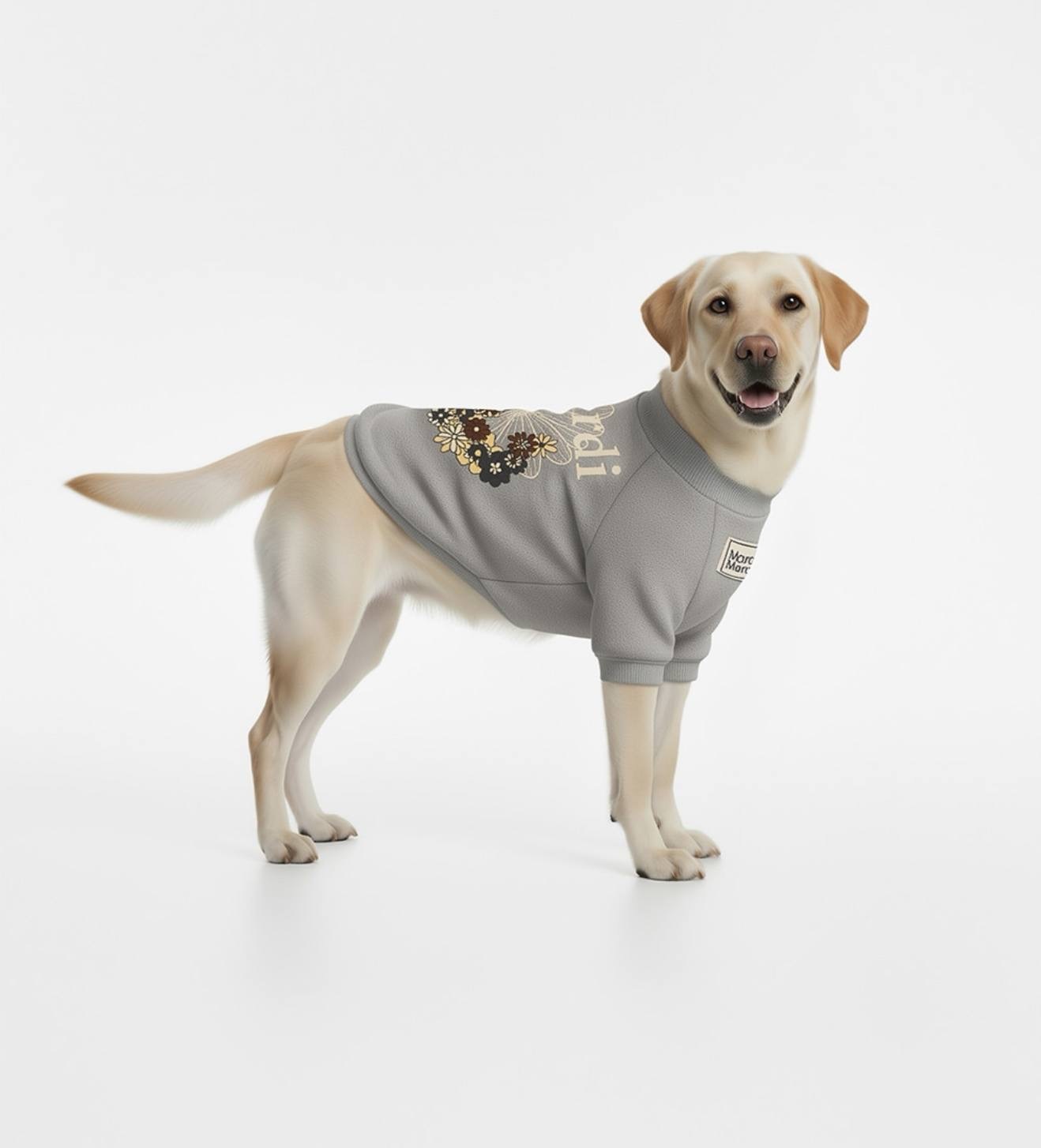 image_B08C2394-A29E-44B3-870E-BAE725942A32_1765463008